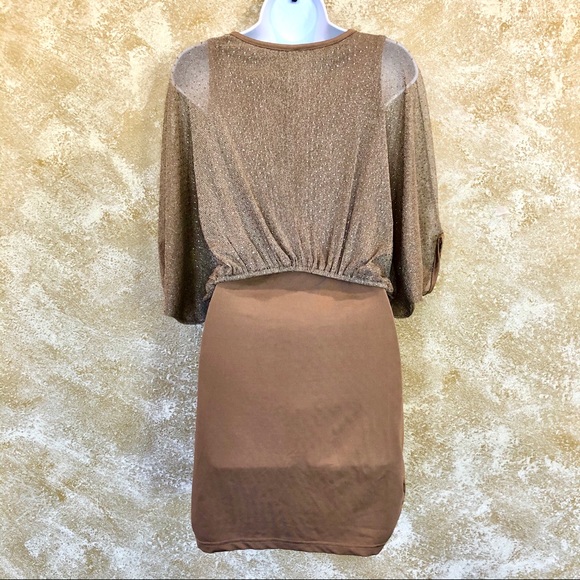 RJ STORY⚡️Glitter Mesh Batwing Mocha Dress_S - Picture 5 of 8